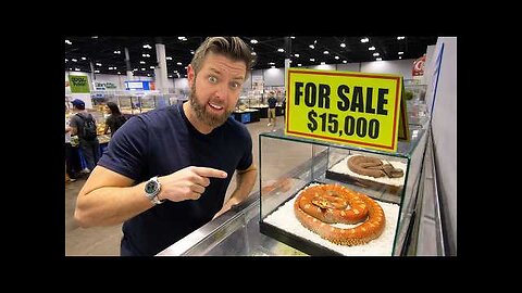 Private Tour Of the World's Most Expensive Pet Show
