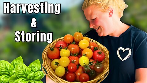 Plot to Pantry: Harvesting & Canning Enough Food To Feed Our Family