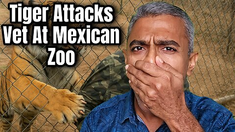 Tiger Grabs Vet at Mexican Zoo