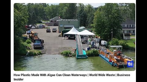 jan 10 2026 - 6 52am - algae bloom plastic