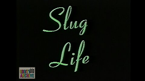SLUG LIFE
