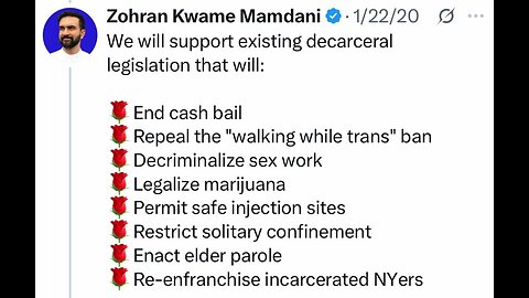 Libs of TikTok on Zohran Mamdani NYC socialist mayoral candidate polices