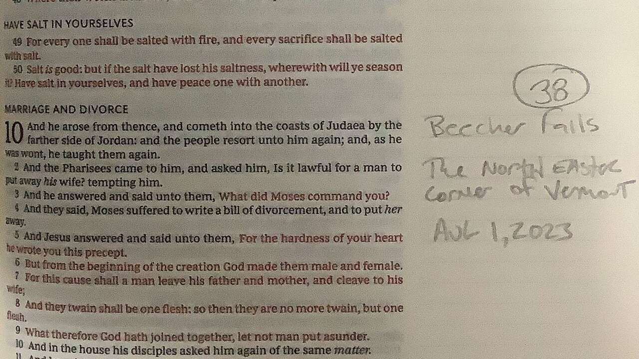 Mark chapter 10