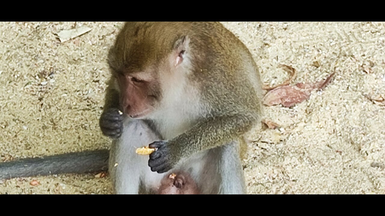 Krabi - Ao Nang ll. (Thailand, 2026)