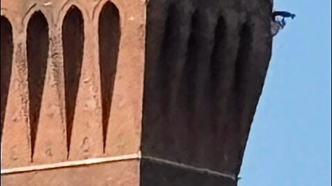 Just talkin Politics i guess