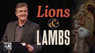 Lions & Lambs