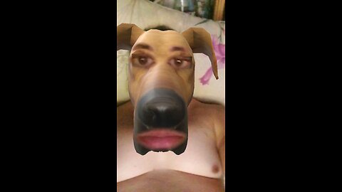 dawg