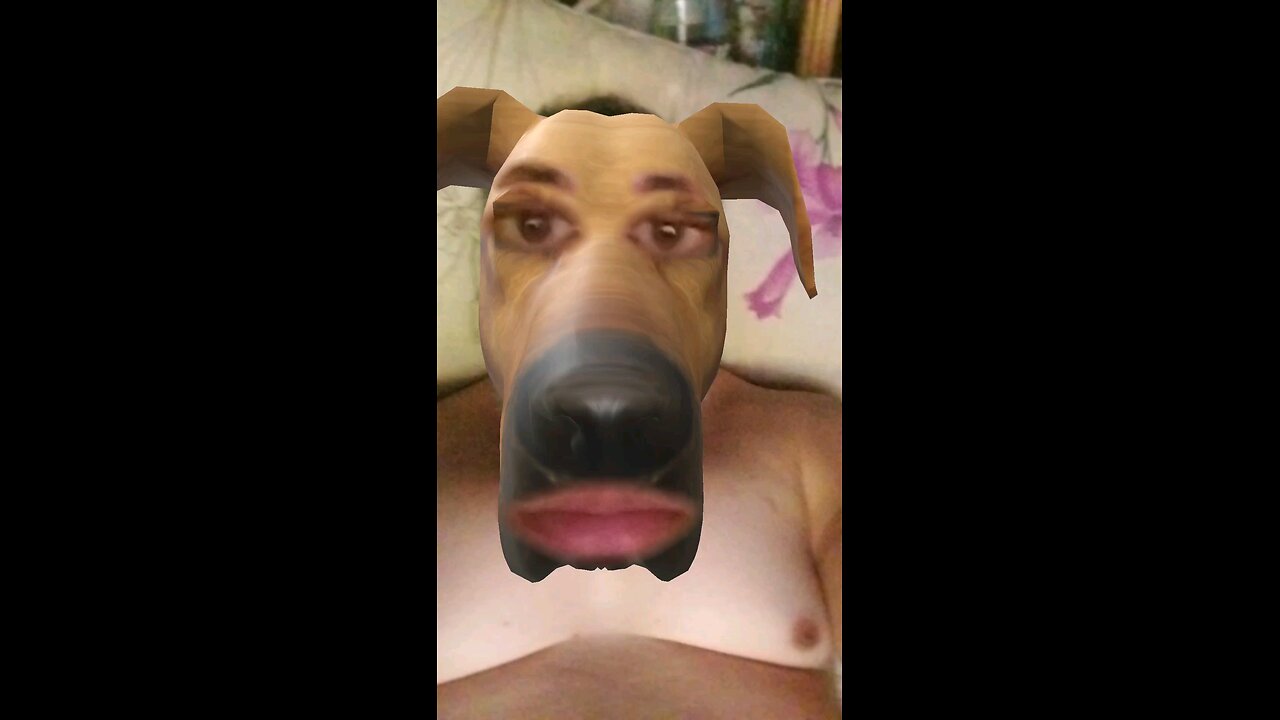 dawg