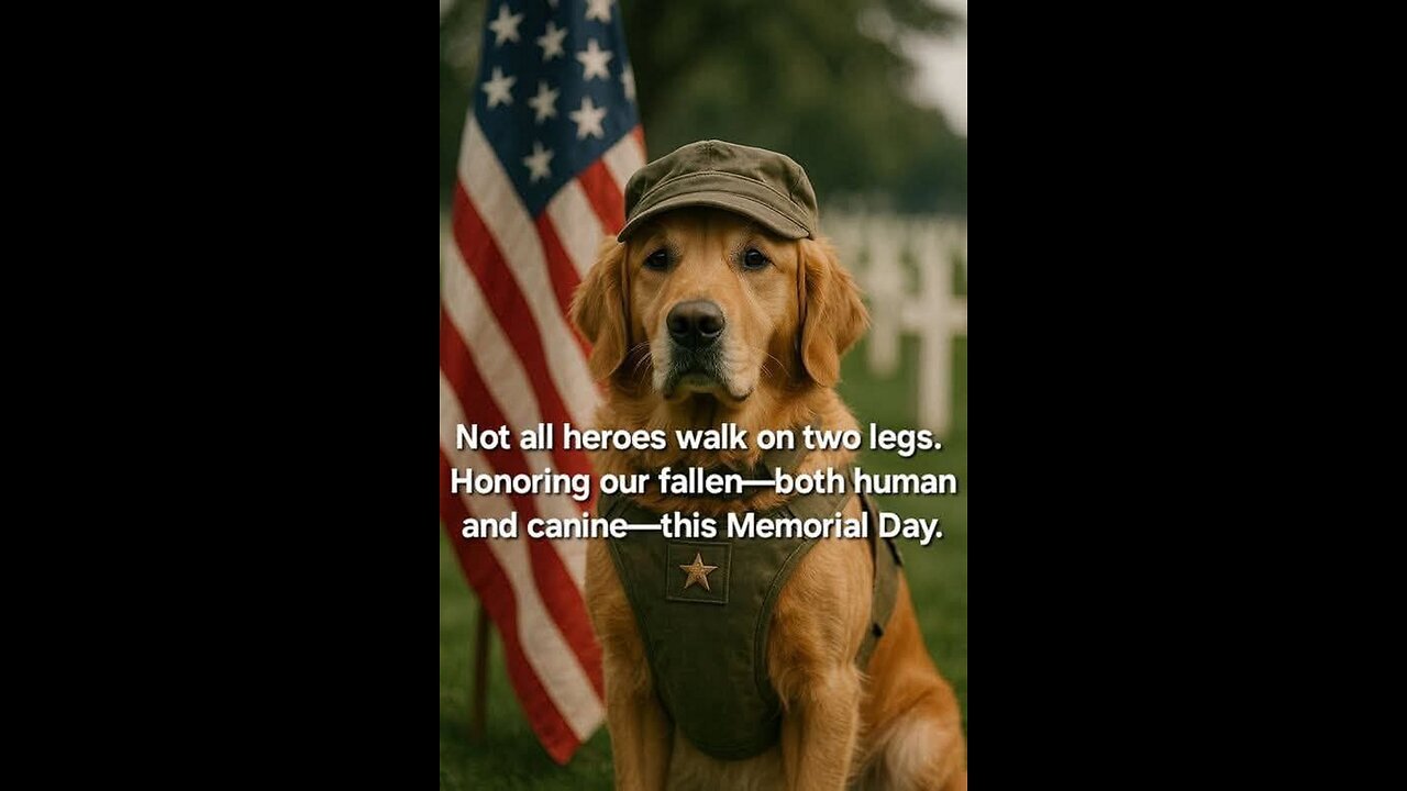 Let us take a moment to remember those that paid the ultimate price for their love of country.