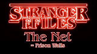 The Prison Planet and its Wall The Net