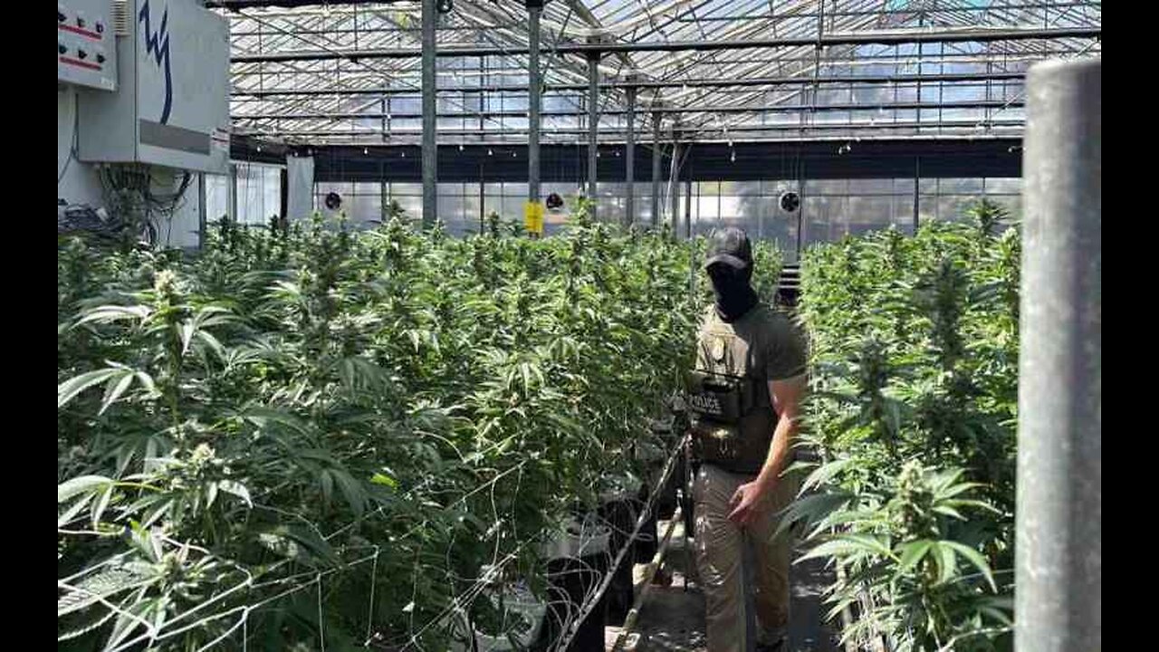 California Rep. Salud Carbajal Doxxed ICE Agent Who Participated In Raid His Donor's Marijuana Farm