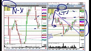 coffee dollar grains, beanoil off your bets
