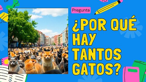 ¿Por Qué Hay Tantos Gatos?