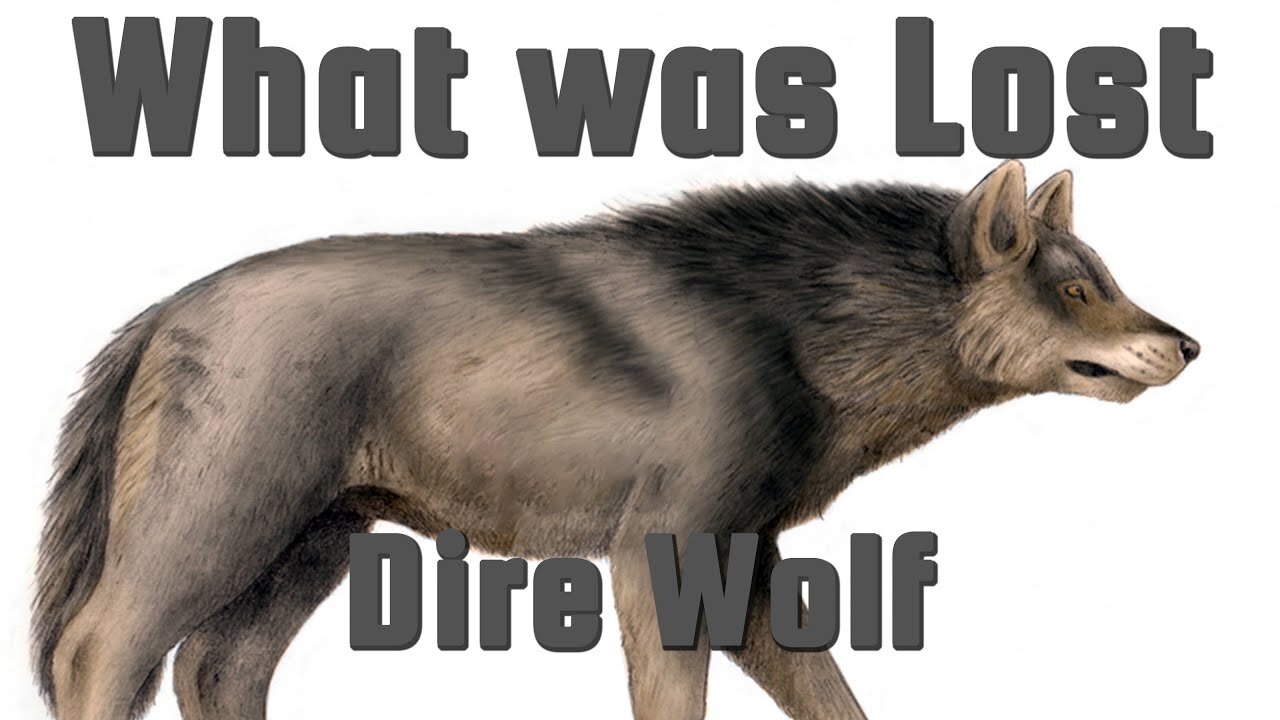 Dire wolves