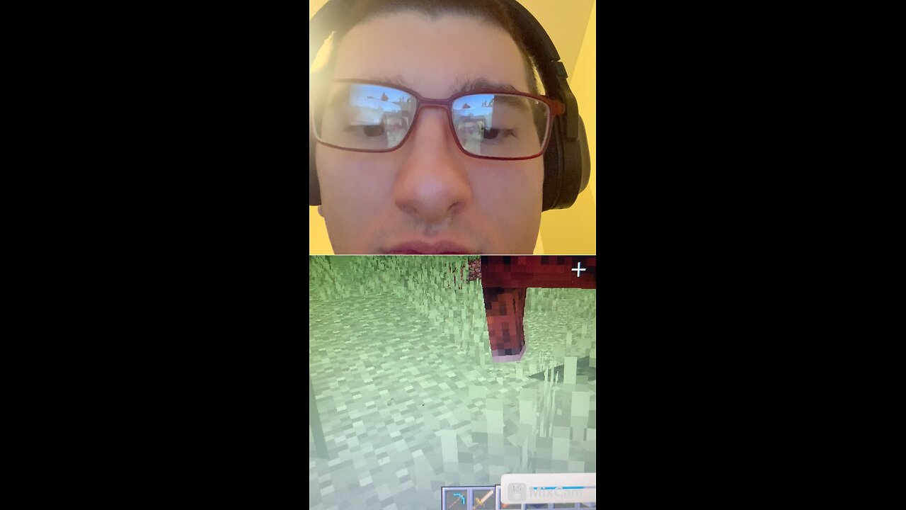 I got to feed the horses in Minecraft