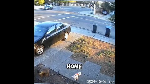 Catch me if you can... #japd