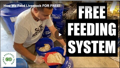 "Free Animal Feeding Guide: Master the Art of Zero-Cost Pet Nutrition"