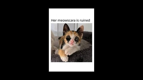 “When Life Gives You Funny Mood | Ultimate Meme Shorts” #FunnyMemes #MemeShorts #ViralVideo