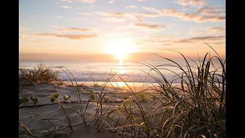 Beach Loop Live – NC Coastal Cam