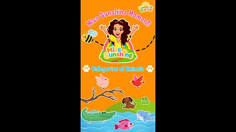 Categories of Animals 🐾