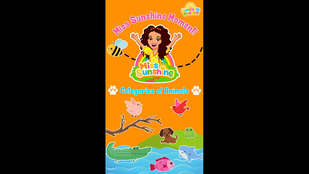 Categories of Animals 🐾