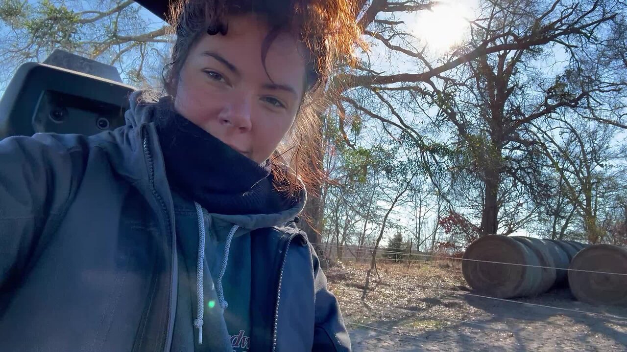 Welding with the cows