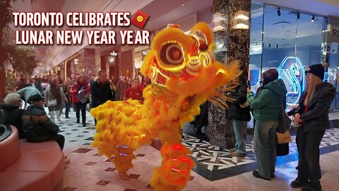 【4K】Toronto Lunar New Year 🧧 Bayview Village Centre Canada 🇨🇦