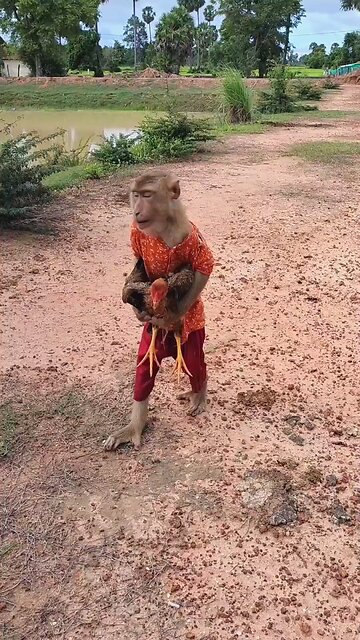 Awesome Video Best SokYaa, OG, Pao & Mom Are Famous Around The World #shorts #anime #trend #edit