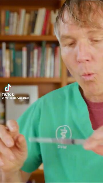 Dogs don’t need vaccines Rabies is man-made , just like COVID and HIV, just like Parvo