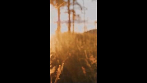 Daily Verse November 20th 2025