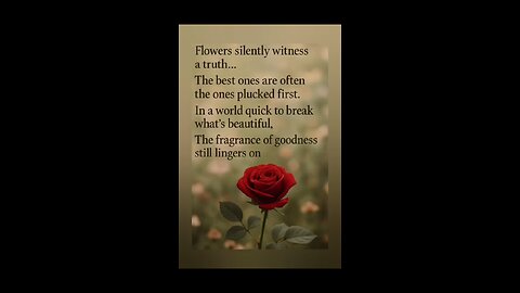 🥺🤟 flowers silently witness....#motivation #successmindset #quotes