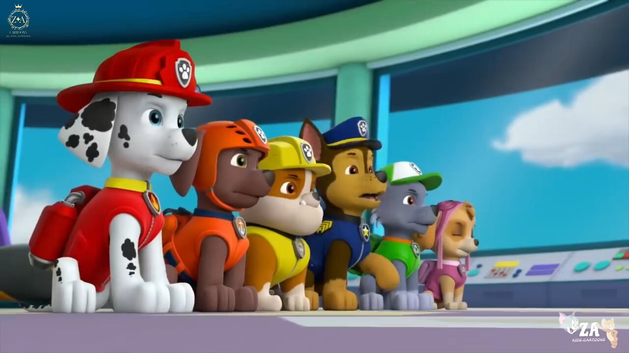 PAW Patrol Cartoons