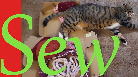 Sew Sunday Catch Up || Stitch & B*