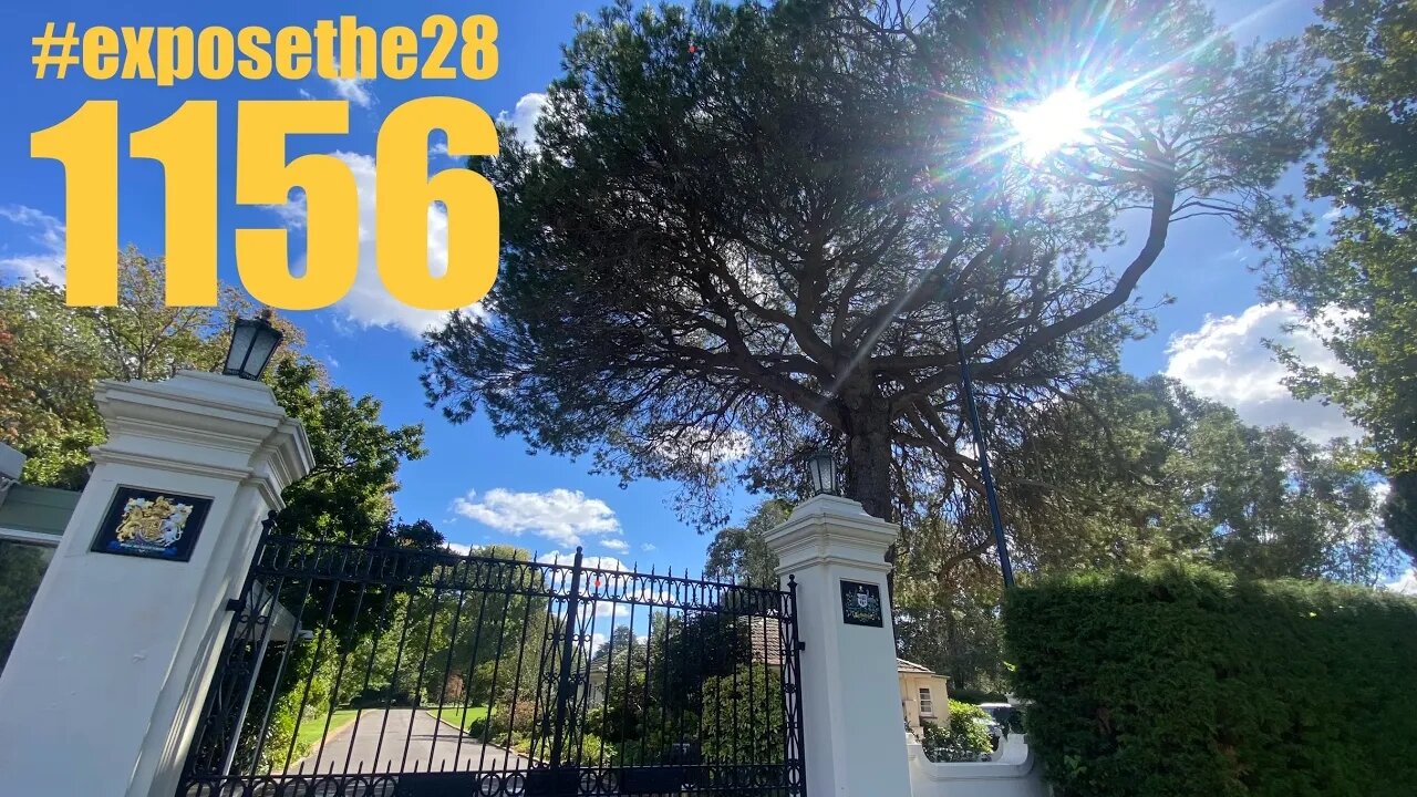Shine Like The Powerful Grandmother Tree #exposethe28 #exposechildtrafficking (ft Kane Obz & Ilaina)