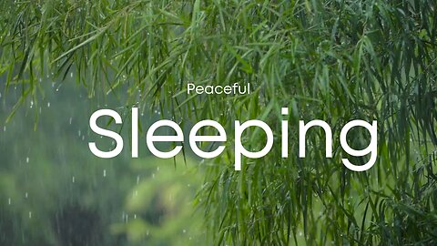 Always-On Rain Sounds for Sleep 😴 | 24/7 Anxiety Meltaway, Relaxation & White Noise