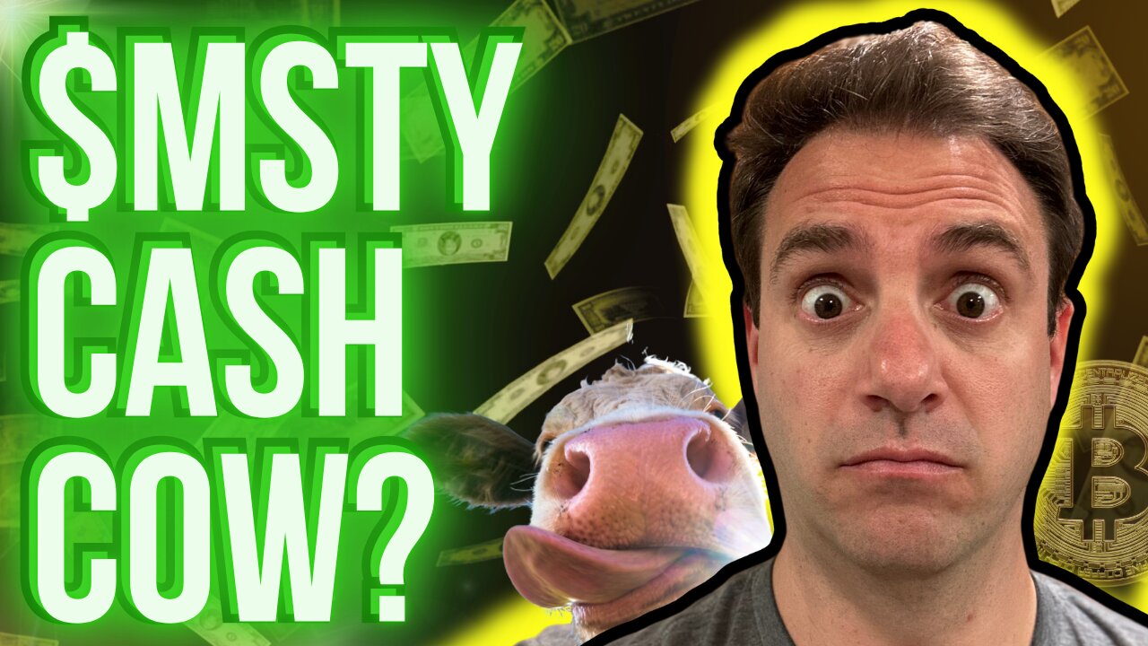 I Built an $MSTY Investment Simulator. Here’s What I Found…