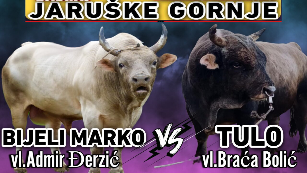 Bijeli Marko od Đerzića vs Tulo od Bolića