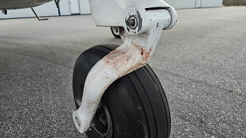I Had a Bird Strike
