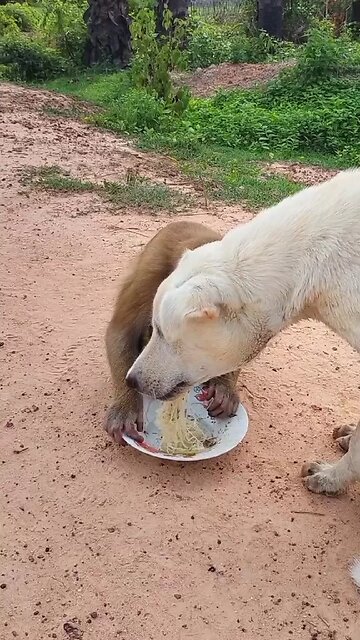 Best SokYaa, OG, Pao & Mom Are Famous Around The World #shorts #anime #trend #edit