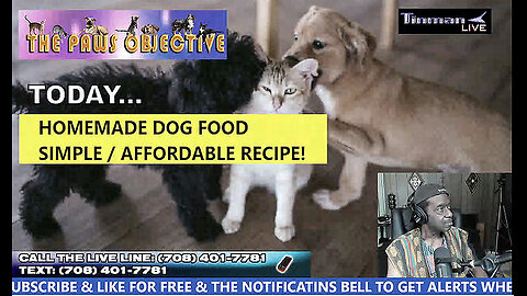 The PAWS OBJECTIVE: Affordable Homemade Dog food