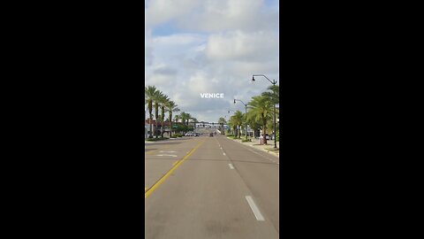Venice Florida Travel Guide: Best Things to Do In 2026