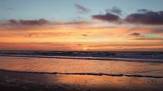 The Beauties of the sea