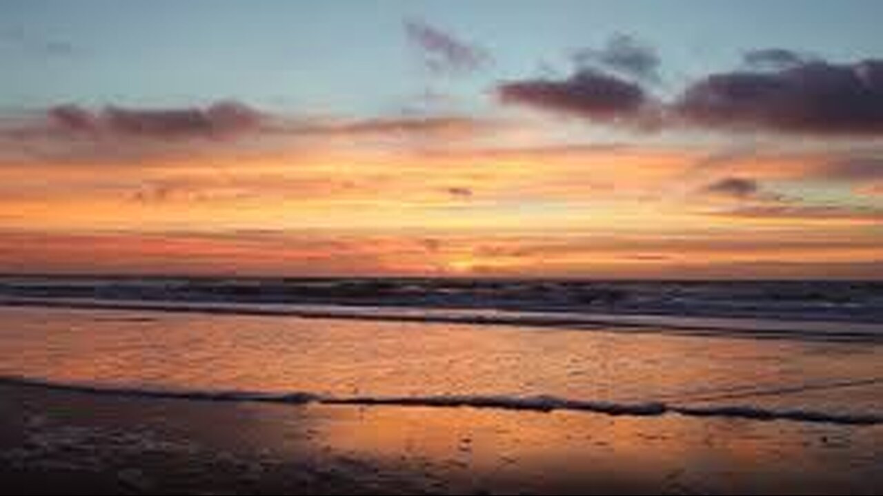 The Beauties of the sea