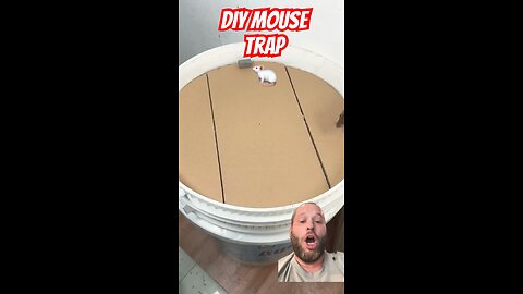 DIY Mouse Trap with Silly Sounds!