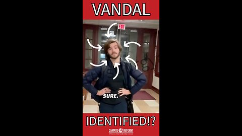 Vandal identified!?