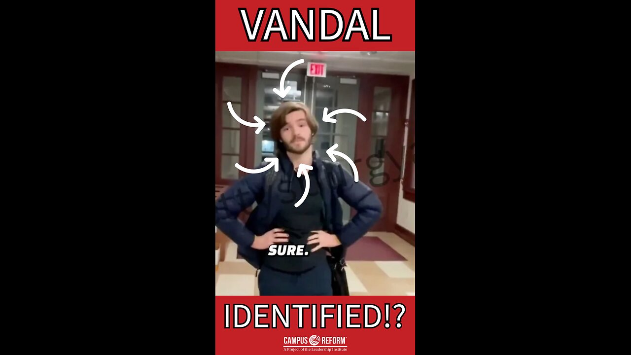 Vandal identified!?