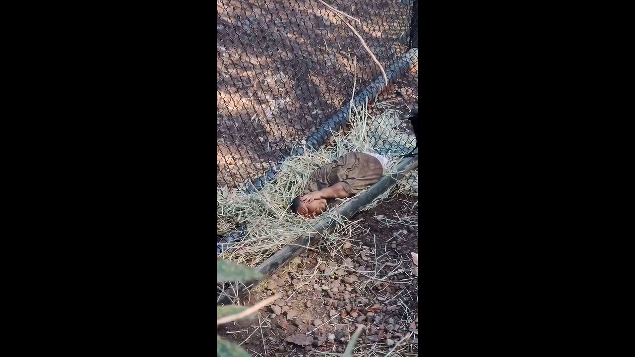 ??