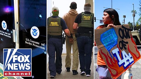 ICE agents are being attacked for doing the base level of their job, Dana Loesch says