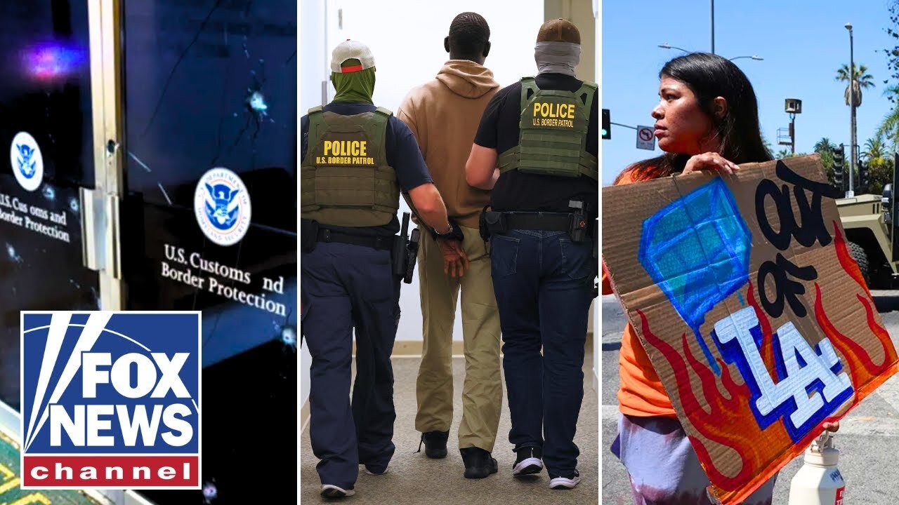 ICE agents are being attacked for doing the base level of their job, Dana Loesch says