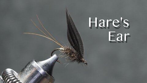 Hare’s Ear: a wet trout fly from Favorite Flies and Their Histories (1892) by Mary Orvis Marbury